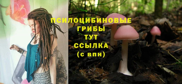 кокс Аркадак