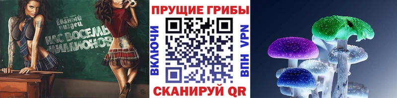 цены   Семикаракорск  Галлюциногенные грибы мицелий 